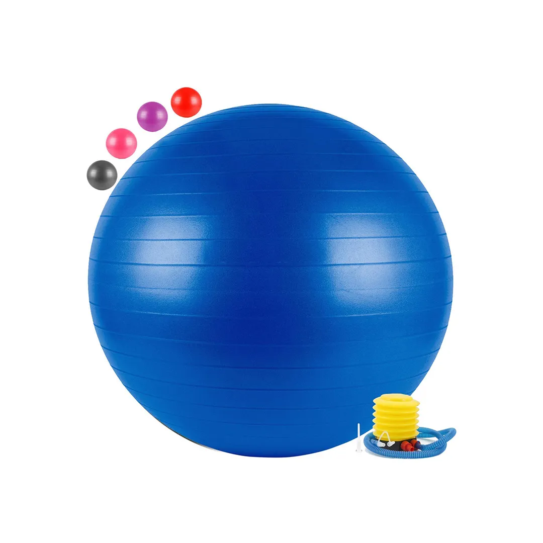 Payal Enterprise Exercise Balls & Accessories Gym Ball 65cm with Pump Exercise Equipment for Home, Balance, Gym, Core Strength, Yoga, Fitness