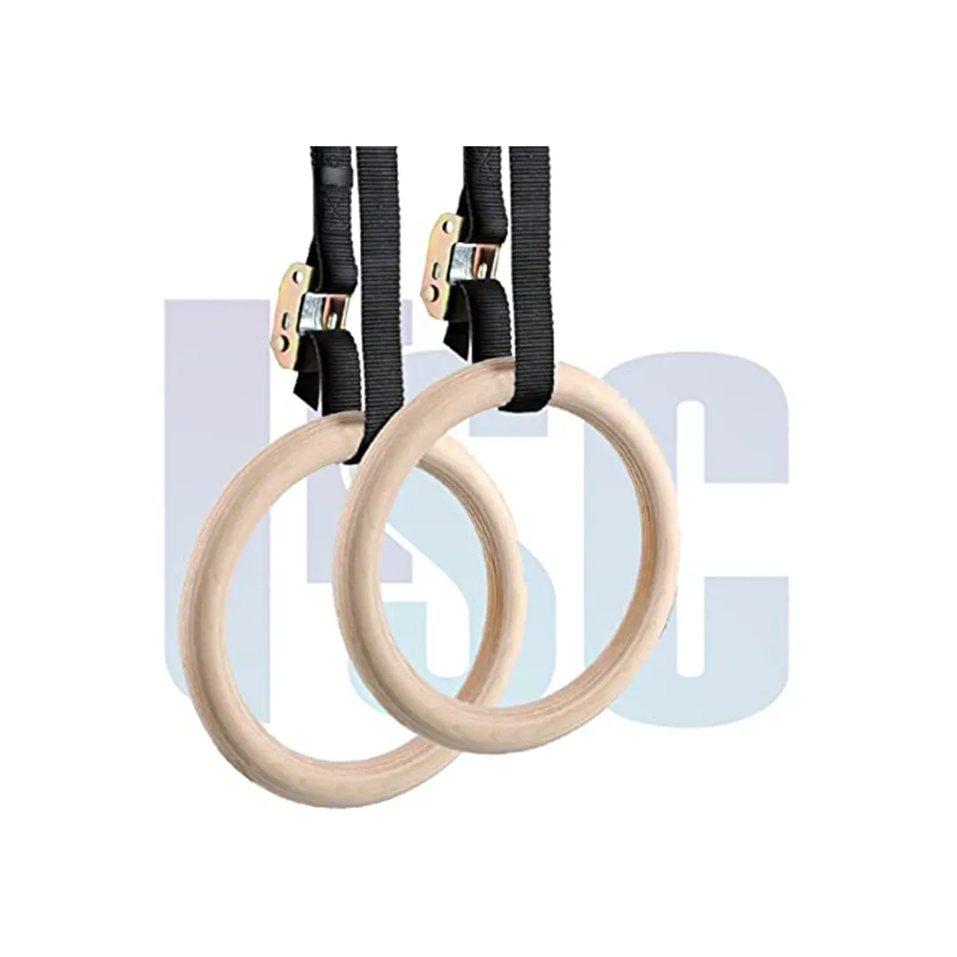 |USC| Fitness Gymnastic Roman Rings Setup